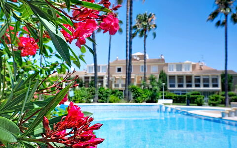 La Rosaleda: Zone Résidentielle, Recours, Hacienda, Biens, Eco Hôtel, Piscine, Ombre, Manoir, Villa