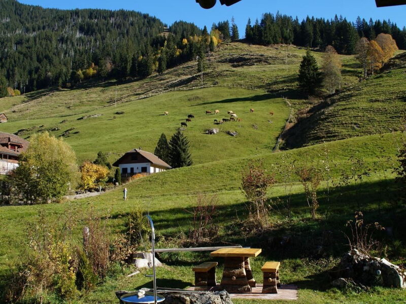 Rastflüehli