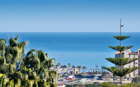 Arborcer: Ciel, Bleu, Végétation, Mer, Bleu Azur, Palmier, Arbre, Horizon, Vacances, Ville