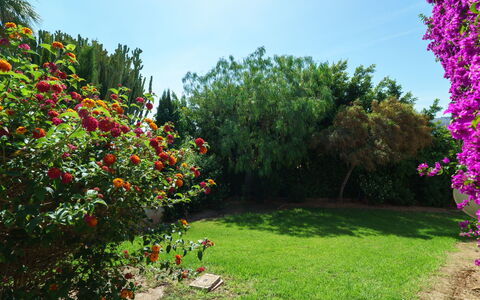 Tesoro Park: Jardin, Fleur, La Nature, Végétation, Plante, Arbre, Jardin Botanique, Botanique, Herbe, Printemps