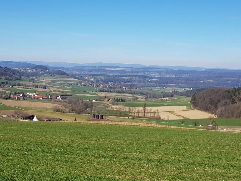 Pünthof