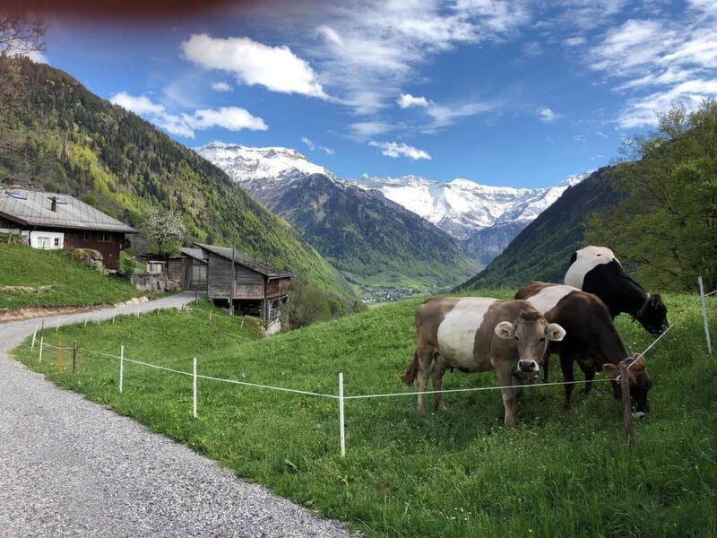 Berghof-Gufel