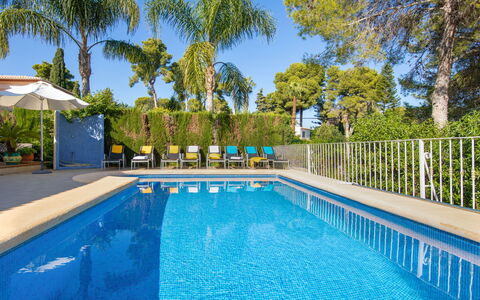Eucaliptus: L'Eau, Plante, Ciel, Piscine, Propriété, Bleu Azur, Arbre, Ombre, Chaise, Mobilier De Jardin