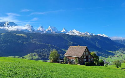Haldenhof Schwizer