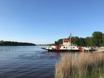 Gemütliches Reetdachhaus in Schleswig-Holstein