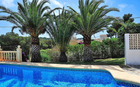 Lucie: Piscine, Propriété, Recours, Arbre, Palmier, Immobilier, Bleu Majorelle, Vacances, Arecales, Loisir