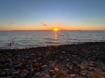 Eul in Butjadingen-Großwürden