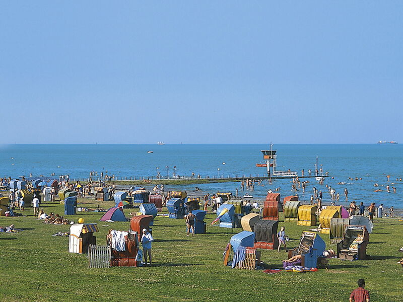 Eul in Butjadingen-Großwürden