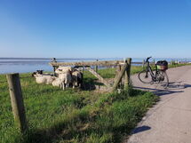 G8 Freistehendes Ferienhaus mit Gartenhaus