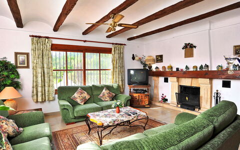 Tarraula: Cadre, Propriété, Canapé, Vert, Meubles, Plante D'Appartement, Design Intérieur, Éclairage, Confort, Plante