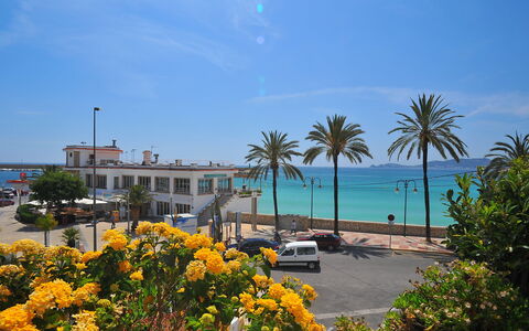 Atarazanas: Ciel, Fleur, L'Eau, Plante, Nuage, Jour, Arbre, Éclairage Public, Végétation, Arecales
