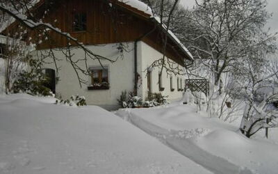 Natur