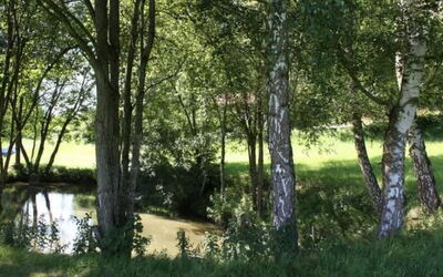 Natur