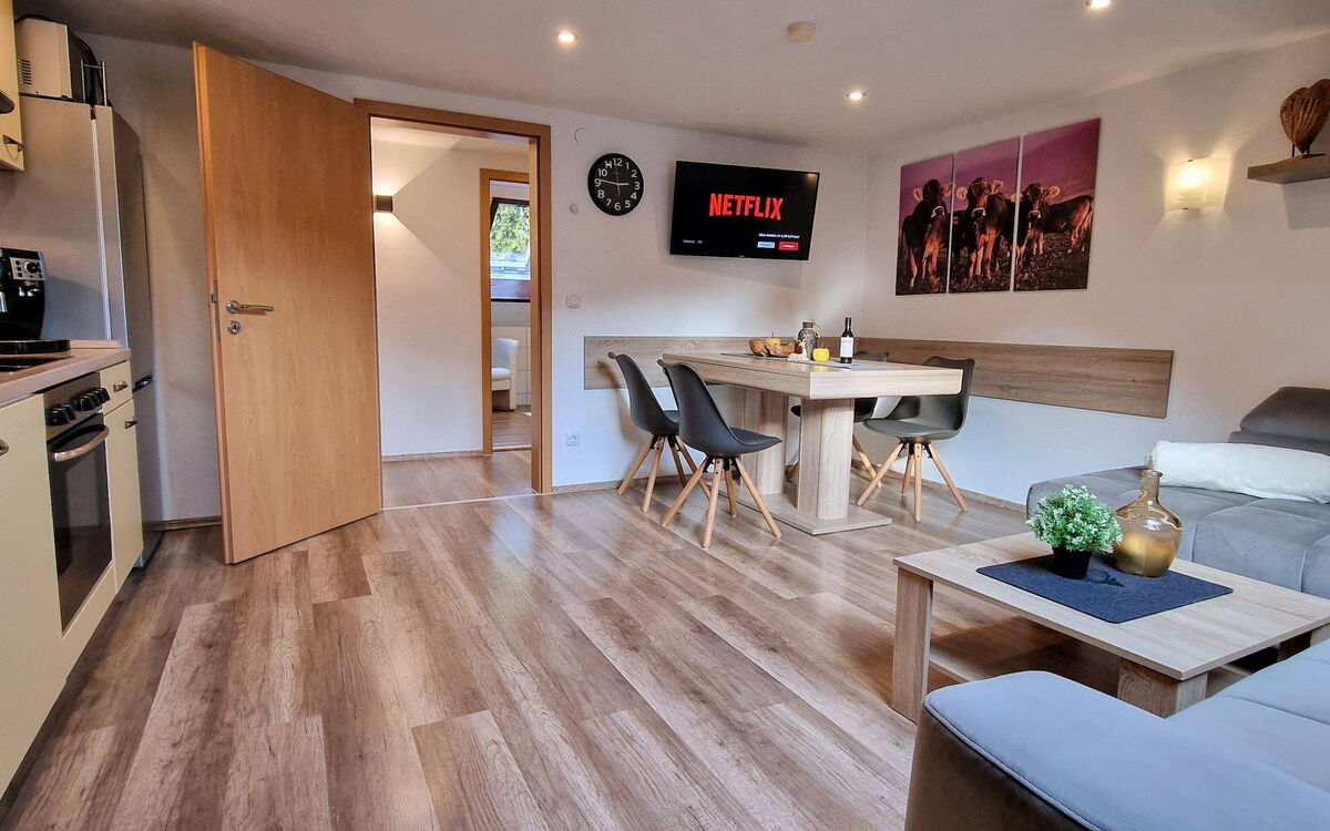 Apartment Nr.1