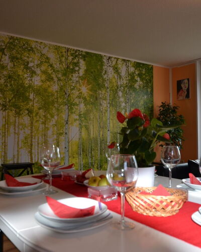 Großzügige Ferienwohnung mit Terrasse