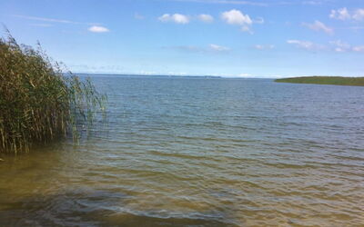 Am Haff