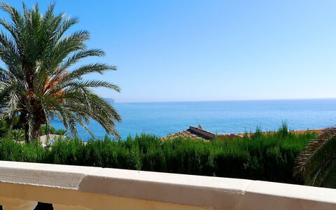 Avalon: Ciel, Propriété, Jour, Arbre, Bleu Azur, Palmier, Vacances, Océan, Mer, Rive