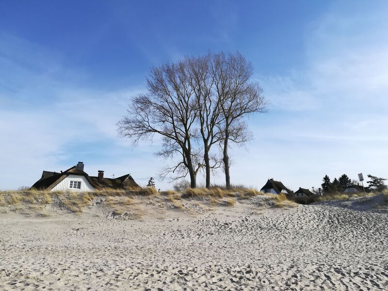 Erholung Pur im Ferienhaus Utkiek 75
