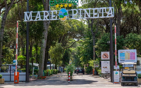 Lido di Spina 22: Bois, Tronc, L'Hiver, Brindille, Mobilier De Jardin, Gelé, Des Bois, Neige, Arrière-Cour