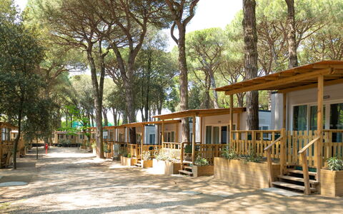 Logement:&nbsp;Mare e Pineta 22.1