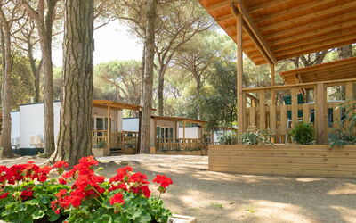 Logement:&nbsp;Mare e Pineta 22.1