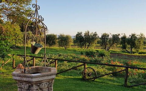 Appartamento Ibisco Seaside and Pool: Plaine, Jardin, Parc, Pelouse, Cour, Aménagement Paysager, Plantation, Jardin Botanique, Ferme, Arrière-Cour