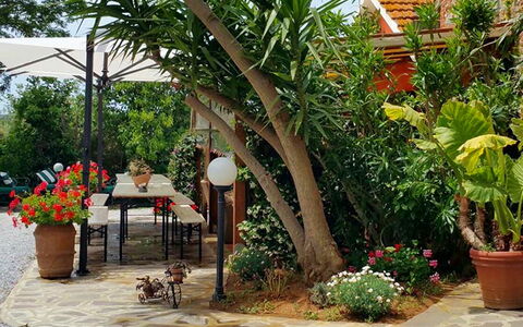 Appartamento Girasole Seaside and Pool: Vert, Pot De Fleur, Jardin, Meubles, Ombre, Mobilier De Jardin, Arrière-Cour, Plante D'Appartement, Chaise