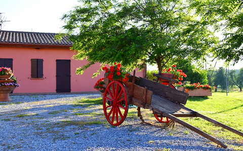 Appartamento Girasole Seaside and Pool: Jardin, Aménagement Paysager, Cour, Allée, Pot De Fleur, Hacienda