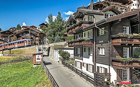 Zermatt 93: Bleu, Zone Résidentielle, Banlieue, Biens, Aménagement Paysager, Haie