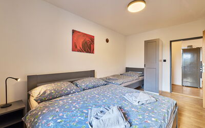 Logement:&nbsp;Růžová 5 101.5