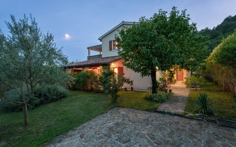 Dol: Maison, Arbuste, Domicile, Jardin, Chalet, Biens, Aménagement Paysager, Ferme, Hacienda