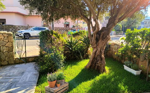 Sabbia e Lavanda: Arbuste, Jardin, Printemps, Suppression Des Plantes Ligneuses, Ombre, Aménagement Paysager, Pelouse, Cour, Pot De Fleur