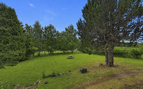 Greenaway: Herbe, Arbre, Environnement Naturel, Feuille, Branche, Prairie, Plaine, Nuage, Arbuste, Lot Terre