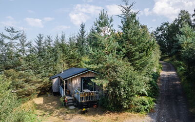 The Cabin