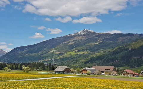 Sankt Margarethen im Lungau 11: Blanc, Nombre, Pente, Conception
