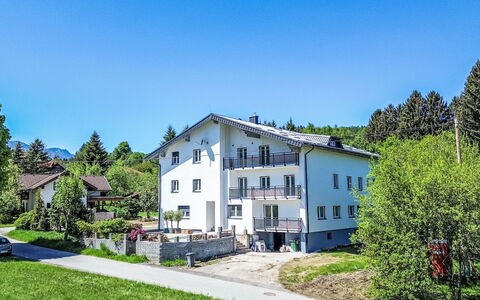 Sankt Jakob im Rosental 1: Arbre, Maison, Domicile, Zone Résidentielle, Chalet, Biens, Villa, Cour, Porche
