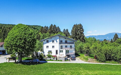 Sankt Jakob im Rosental 1: Arbre, Maison, Domicile, Zone Résidentielle, Lot Terre, Chalet, Zone Rurale, Établissements Humains, Biens