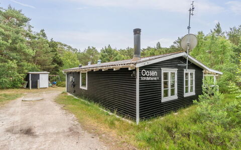 Huanca - 500M from the Sea: Bois, Meubles, Appartement, Pièce, Plafond, Tache De Bois, Chaise, Dur, Vernis, Lumber