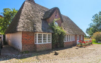 Bedine - 10Km from the Sea
