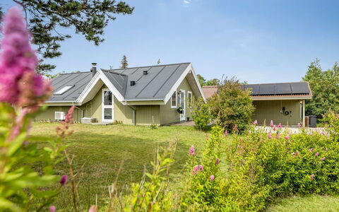 Emiljan - from the Sea: Herbe, Prairie, Paysage, Écorégion, Plaine, Communauté Des Plantes, Lot Terre, Mobilier De Jardin, Prairie, Formations Arbustives