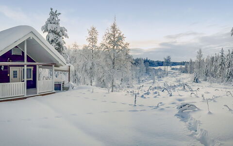 Lauhalehto: Neige, L'Hiver, Branche, Chalet, Maison, Gelé, Domicile, Gel, Géologique Phénomène, Brindille