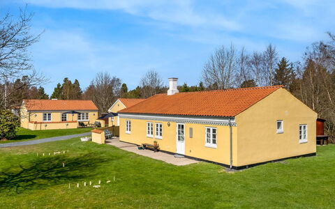Klint - 400M from the Sea: Herbe, Prairie, Paysage, Écorégion, Plaine, Communauté Des Plantes, Lot Terre, Mobilier De Jardin, Prairie, Formations Arbustives