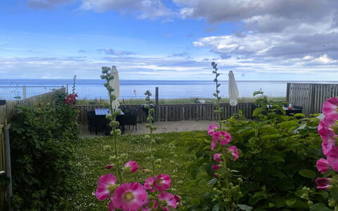 Nedelko - 20M from the Sea: Fleur, Pétale, Plante À Fleurs, Océan, Mer, Jardin, Plante Herbacée, Famille Rose, Wildflower