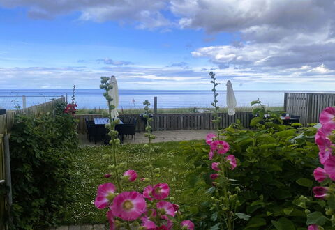 Nedelko - 20M from the Sea: Fleur, Pétale, Plante À Fleurs, Océan, Mer, Jardin, Plante Herbacée, Famille Rose, Wildflower