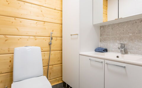 Joutsenranta: Sol, Siège De Toilette, Luminaire Plomberie, Salle De Bains, Toilette, Lavabo, Sol, Bois, Évier, Armoire De Toilette