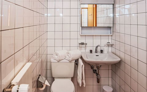 Chesa la Drosa Ab: Salle De Bains, Siège De Toilette, Luminaire Plomberie, Lavabo, Toilette, Évier, Plomberie, Design Intérieur, Sol, Robinet