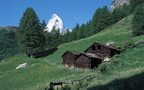 Sonnhalde a: Biens, Aménagement Paysager, Villa, Haie, Balcon