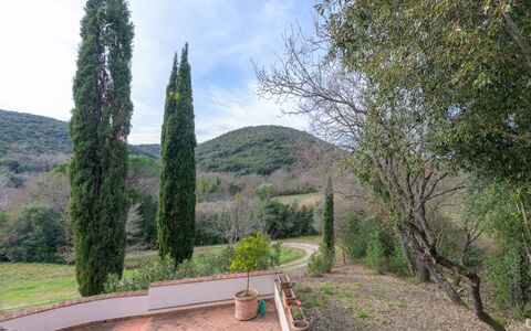 La Valle: Feuille, Arbuste, Jardin, Aménagement Paysager, À Feuilles Persistantes, Famille Pine, Mélèze