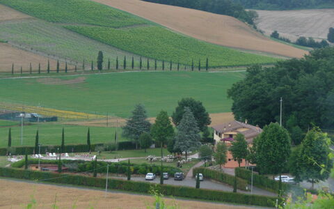 Tenuta Borgo al Sole: Zone Rurale, Plantation, Champ, Agriculture, Village, Ferme, Aménagement Paysager, À Feuilles Persistantes