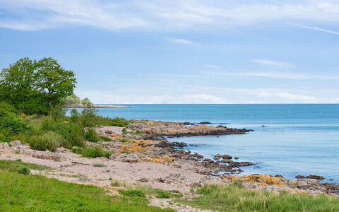 Yosefin - 50M from the Sea: Herbe, Prairie, Lot Terre, Chalet, Zone Rurale, Prairie, Batiments Jardin, Jardin, Cabanon